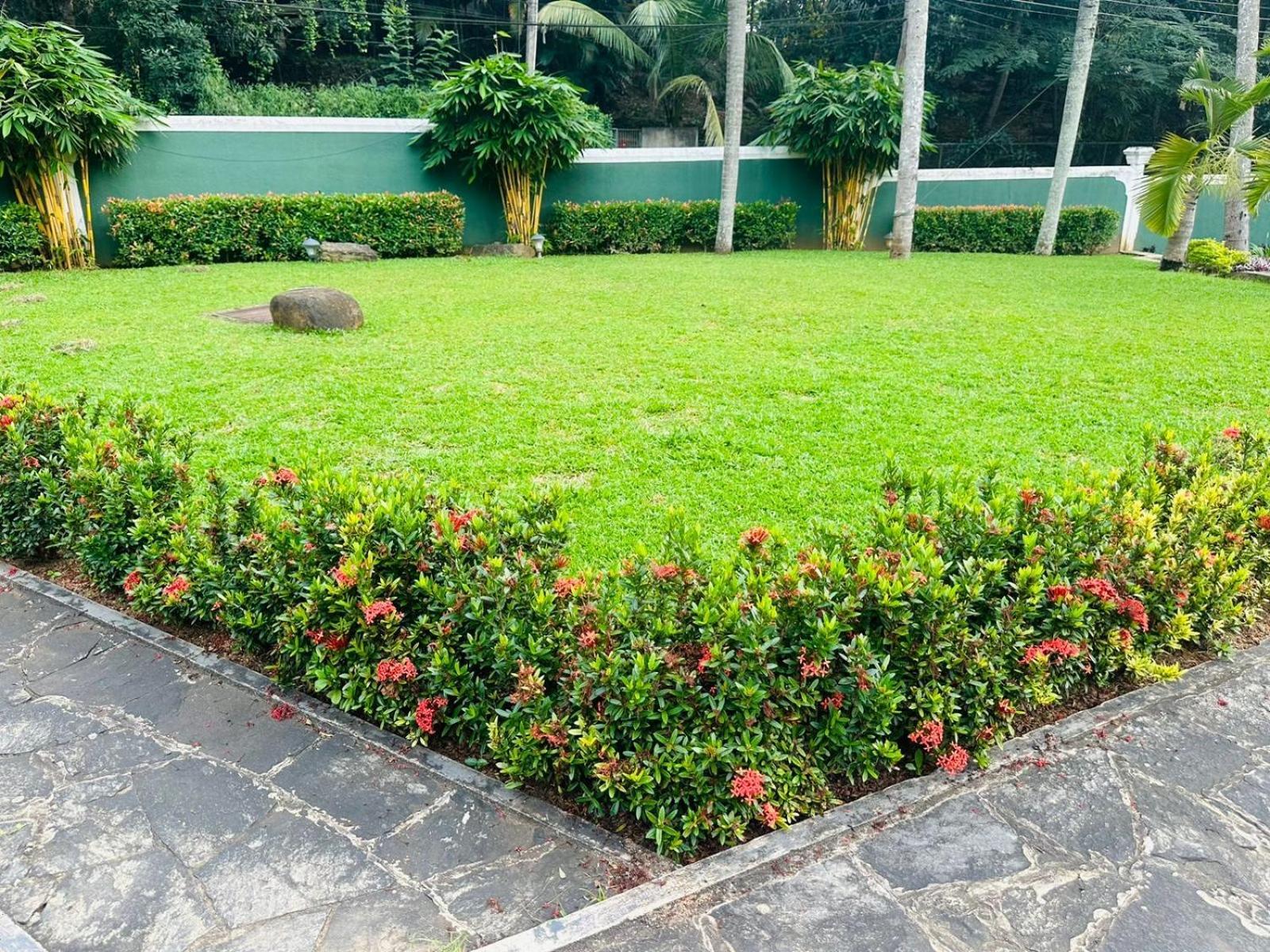 The Kings Villa *